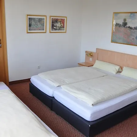 Otel Hornung 3*